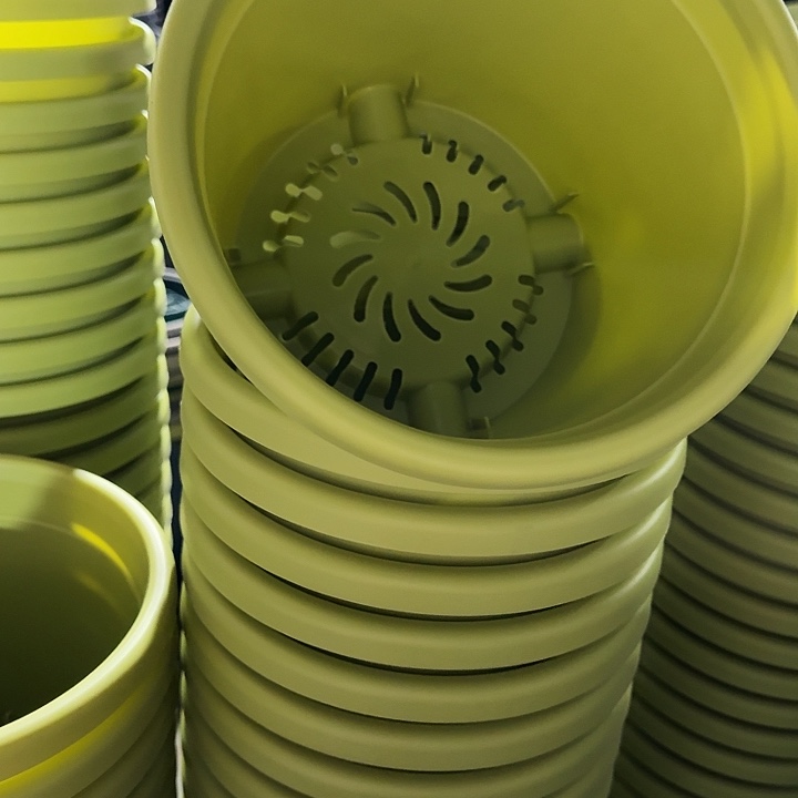 四季3号果绿无托20个特价