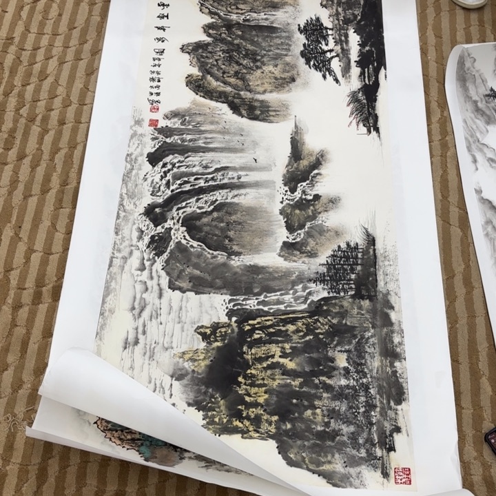 国画岿**动花鸟的翅膀是一个
