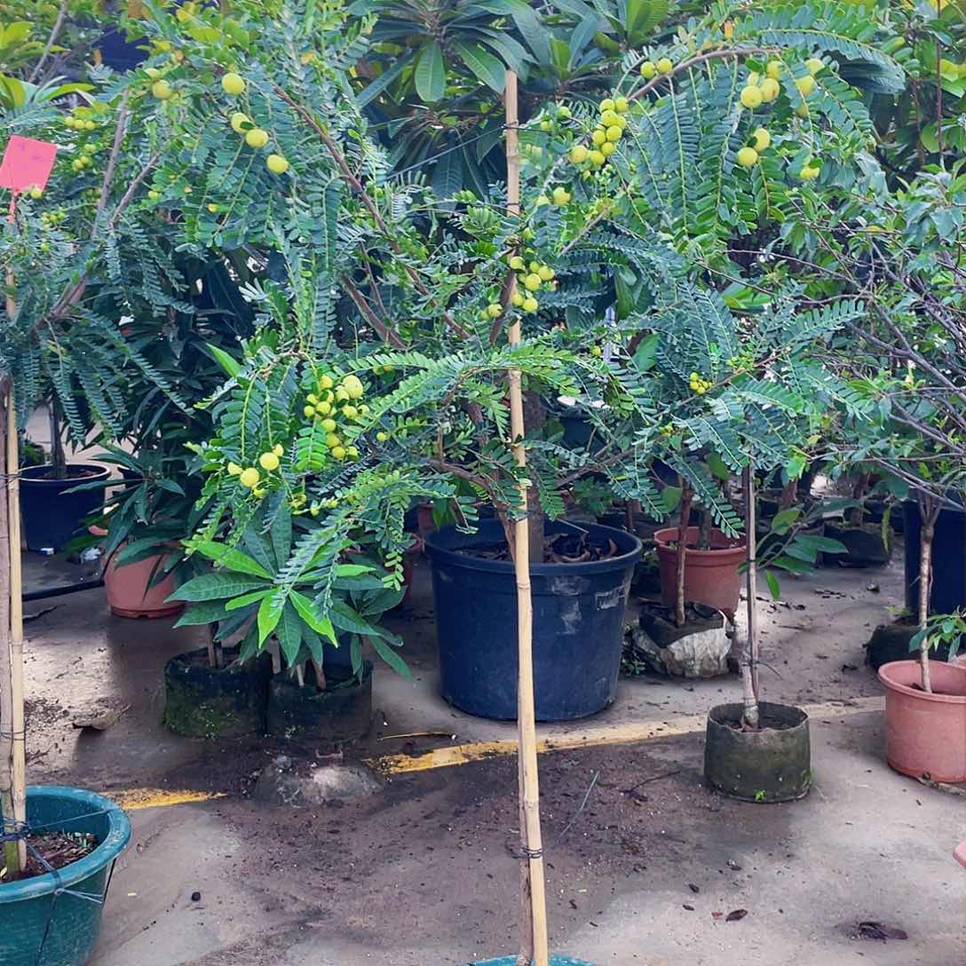 完全开放佳****）g m 888888888888