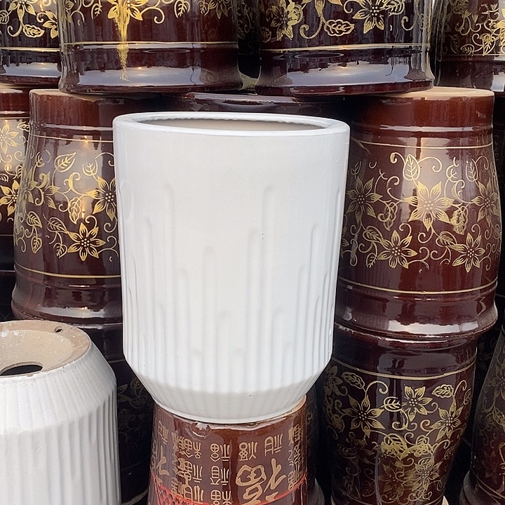 白音符中口26高33福利