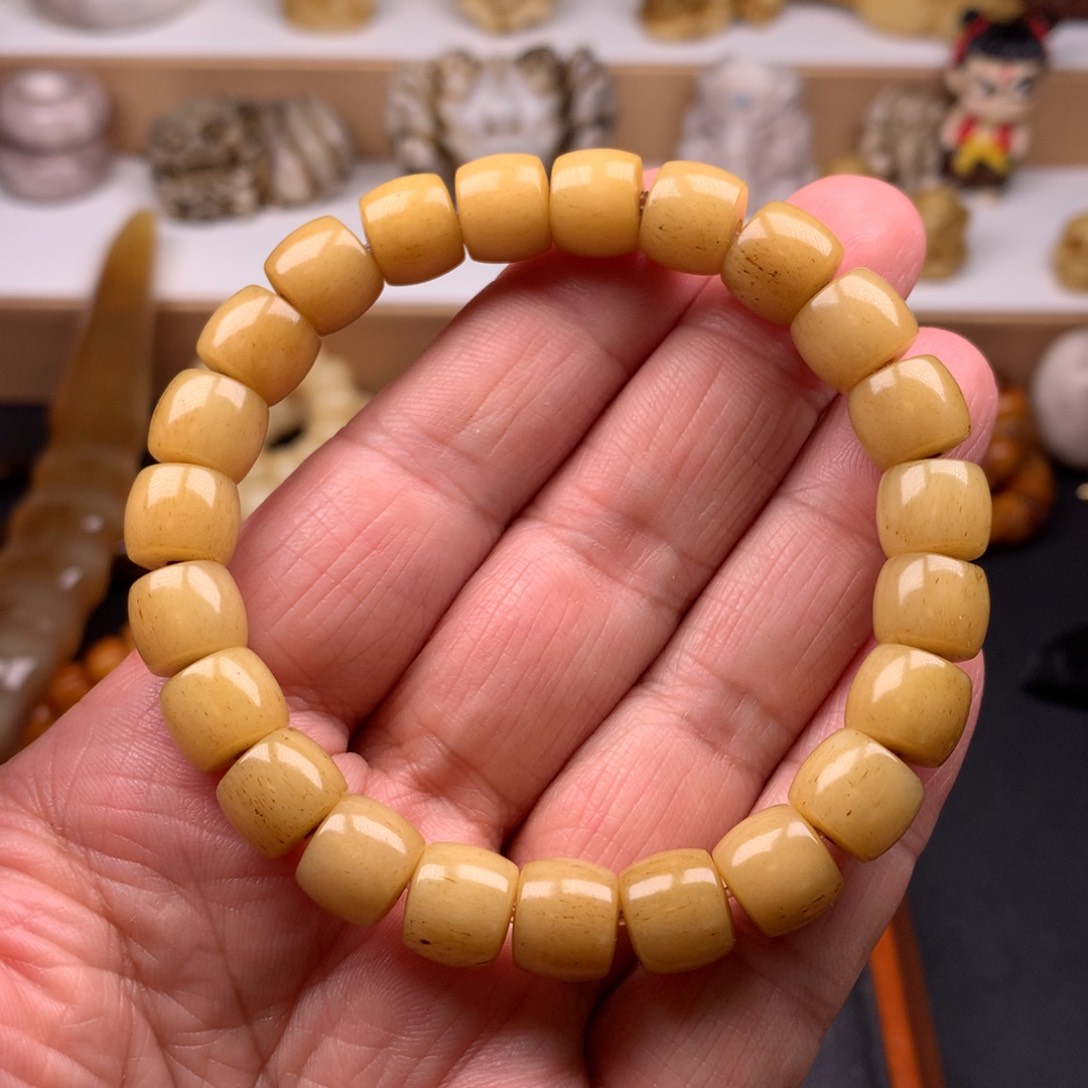 其他驼骨 天天都在盘  10