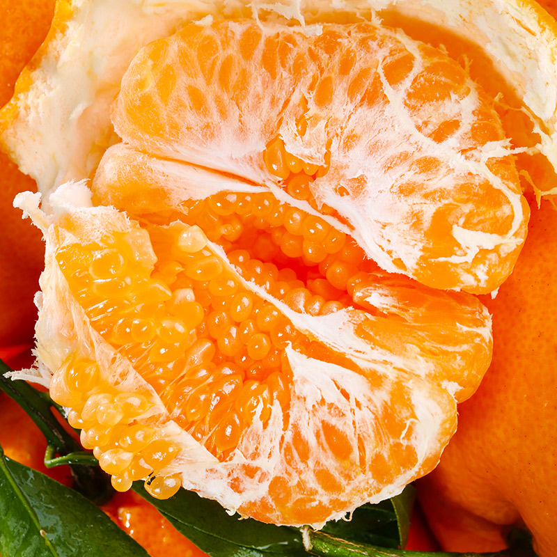 【商超品质】正宗四川春见耙耙柑新鲜水果净重4.5斤8斤现摘现发