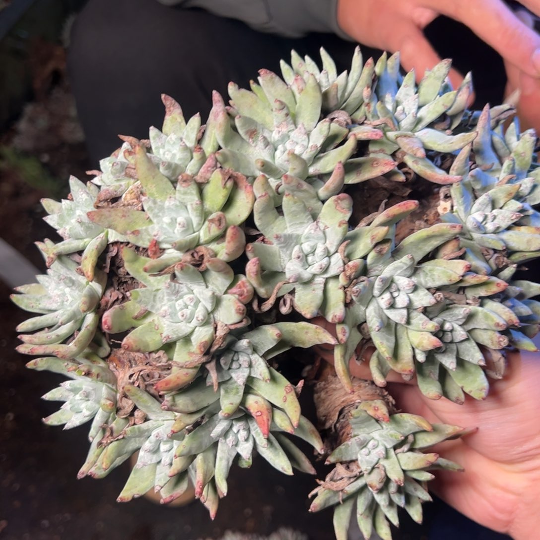 5034哈哈哈哈哈哈哈哈