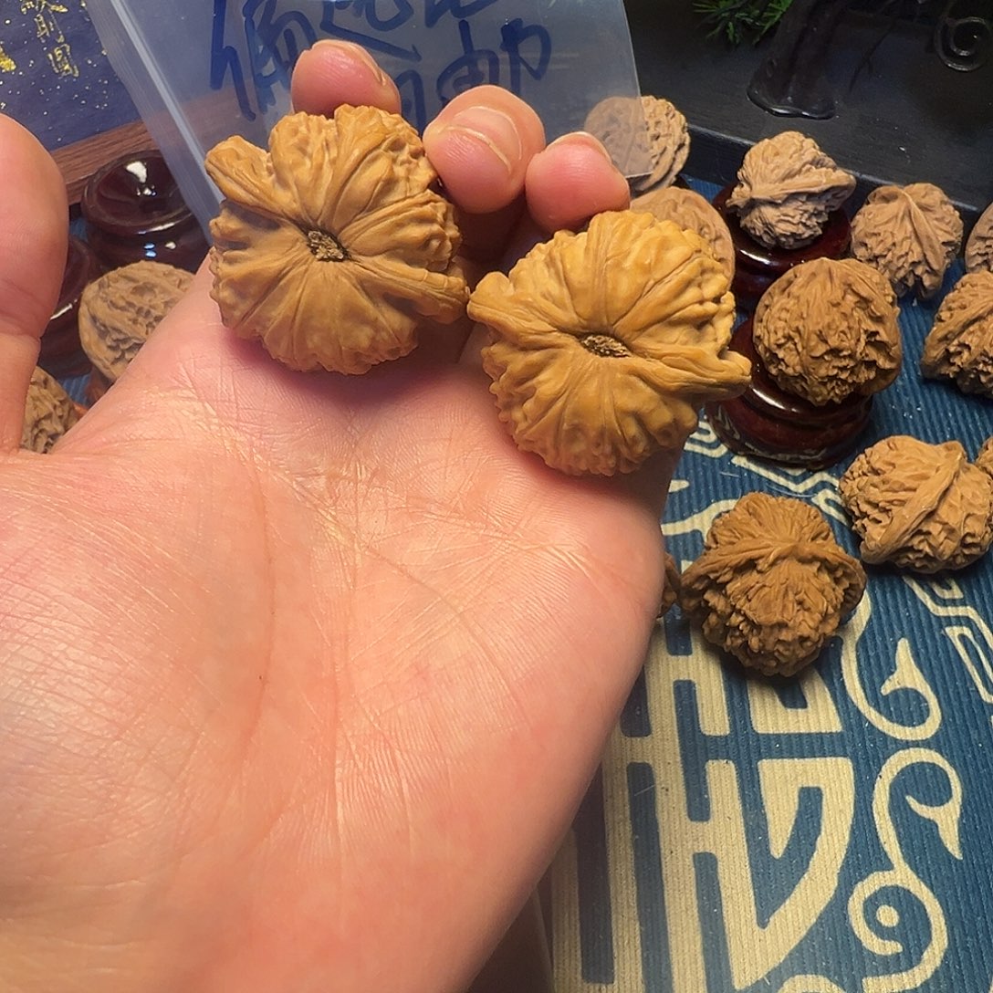 38尺白茬闷尖白狮子