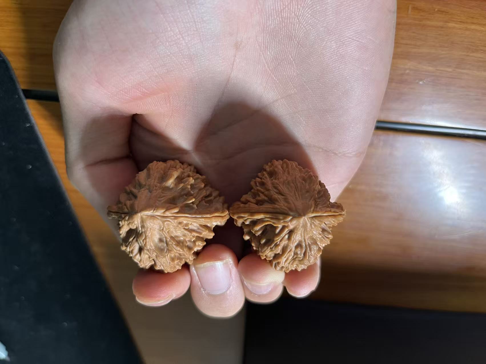 文玩核桃小众五指山皮质骨质密度特别好