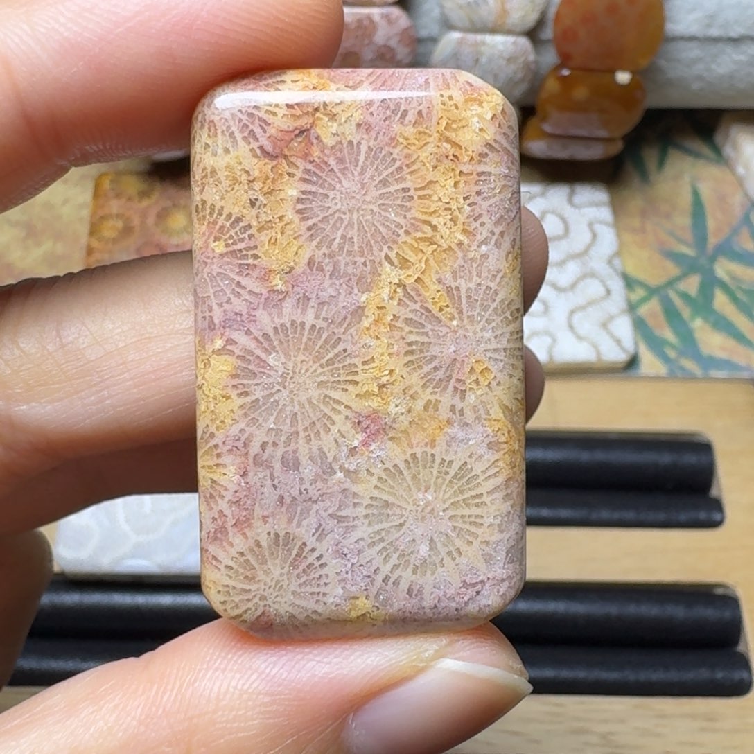 硅化玉紫红黄大花，好盘未镶嵌