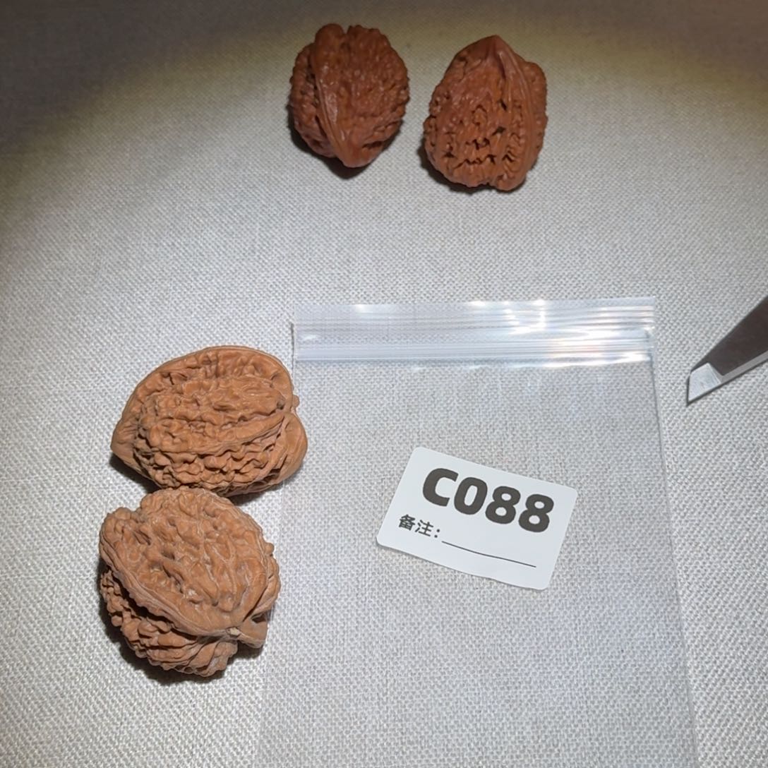 文玩核桃吊坠蚂蚁王088