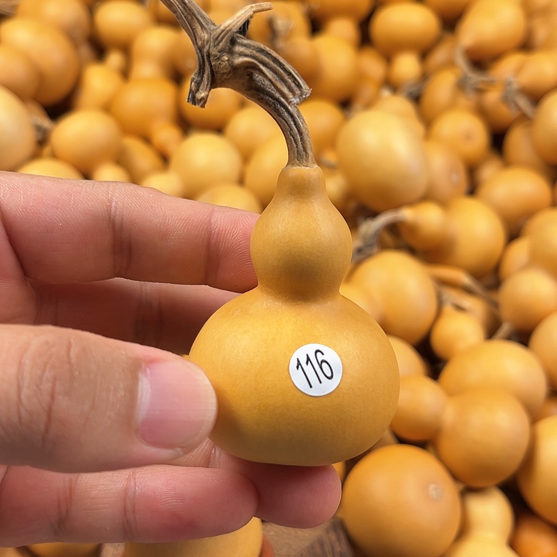 一葫芦葫芦葫芦葫芦116