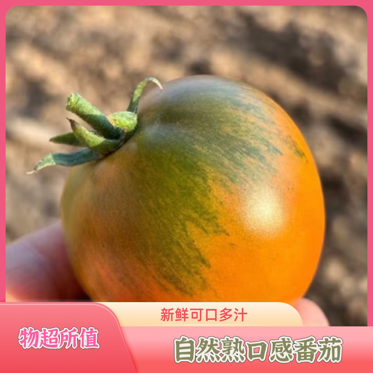 精品自然熟碱地番茄新鲜现摘酸甜美味营养健康草莓铁皮西红柿子