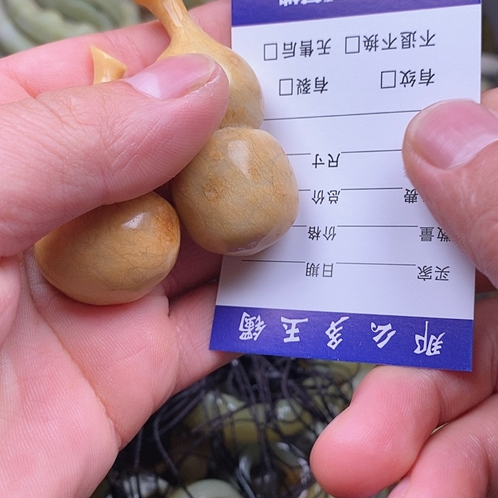 蛇纹石玉颈饰未镶嵌枫*丰