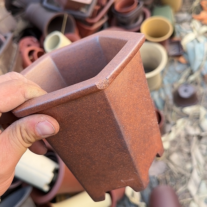 我想说什么都没有我也很开心你在哪点哦亲