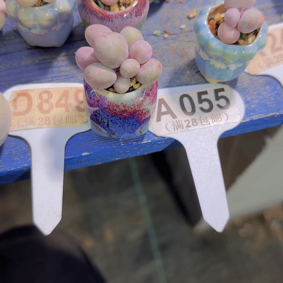 A055Mike奶一物一拍