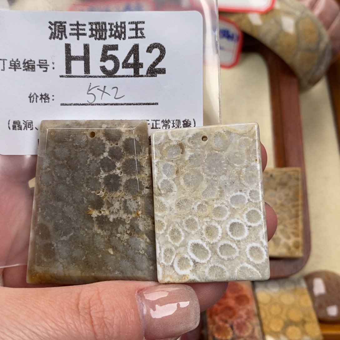 硅化玉颈饰未镶嵌石*