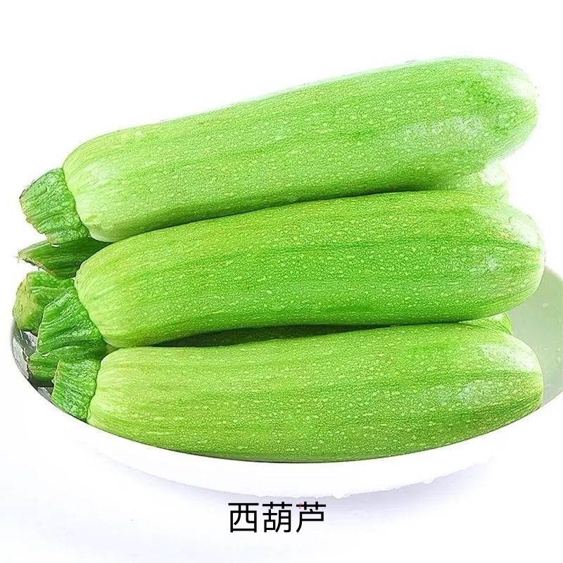 【众旺农场】西葫芦蔬菜绿皮西葫芦3斤不泡药水顺丰包邮新鲜