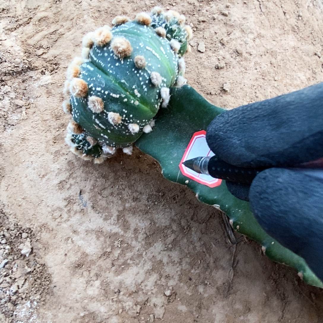 兜兜兜兜兜兜兜兜兜兜1