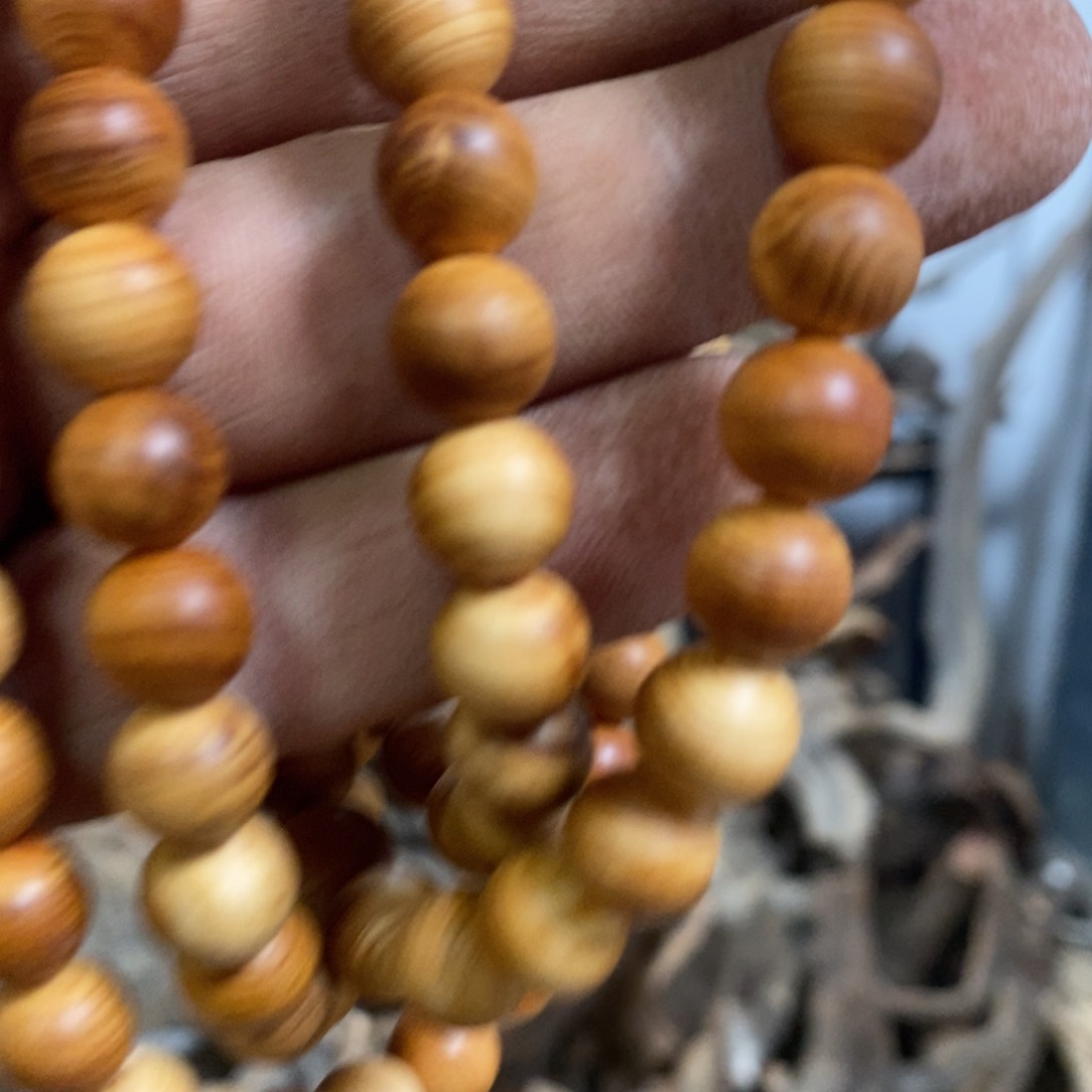 柏木我们都是好孩子