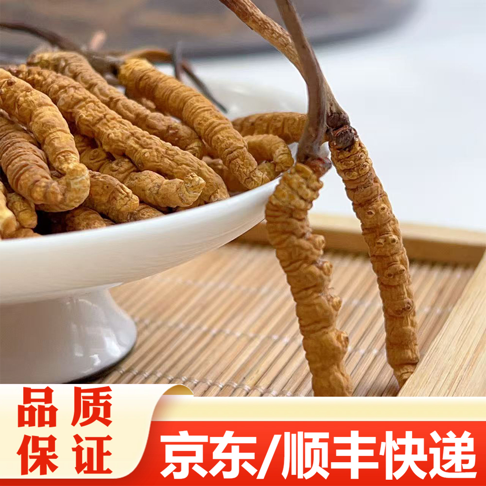 【精选】冬虫夏草 新草