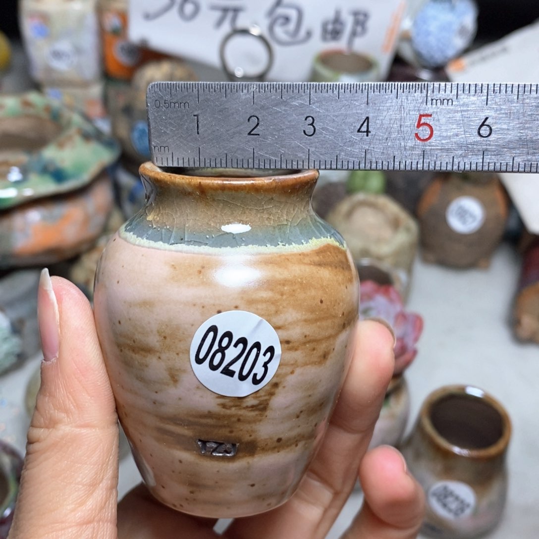 花盆拍5送一个小礼物