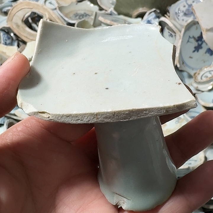 奥***l瓷片瓷片标本，顺丰包邮