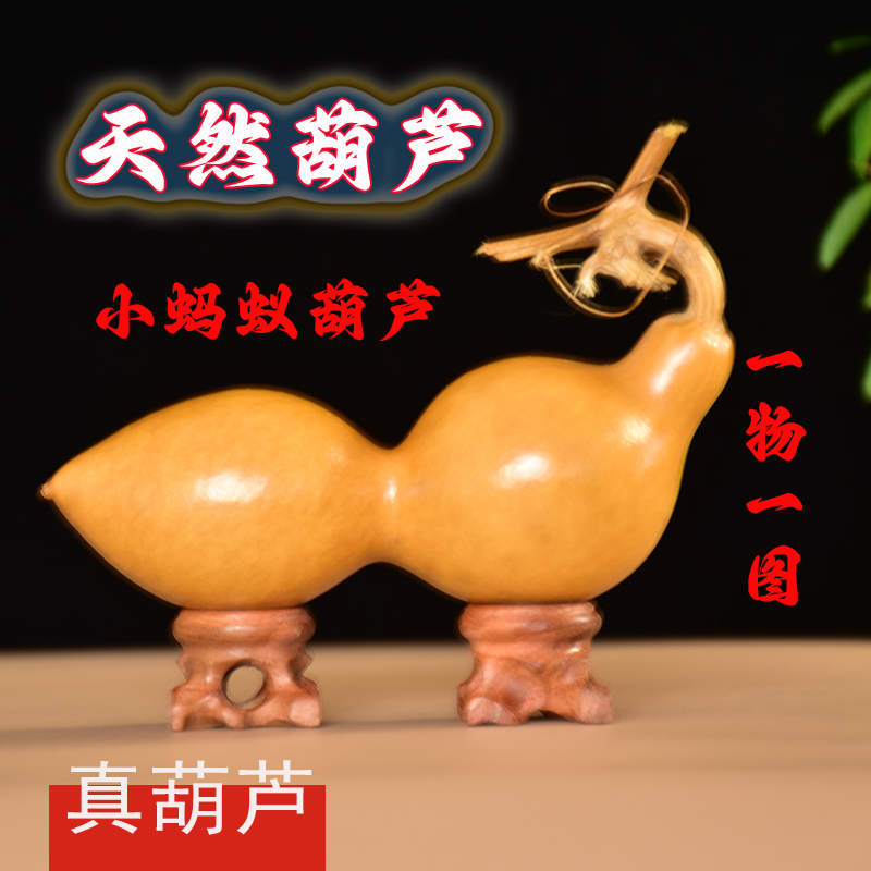 直播间选购拍品天然葫芦文玩雕刻烙画精品葫芦手把件摆件