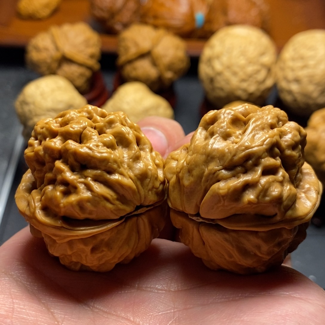 文玩核桃把件38尺五毒蟾