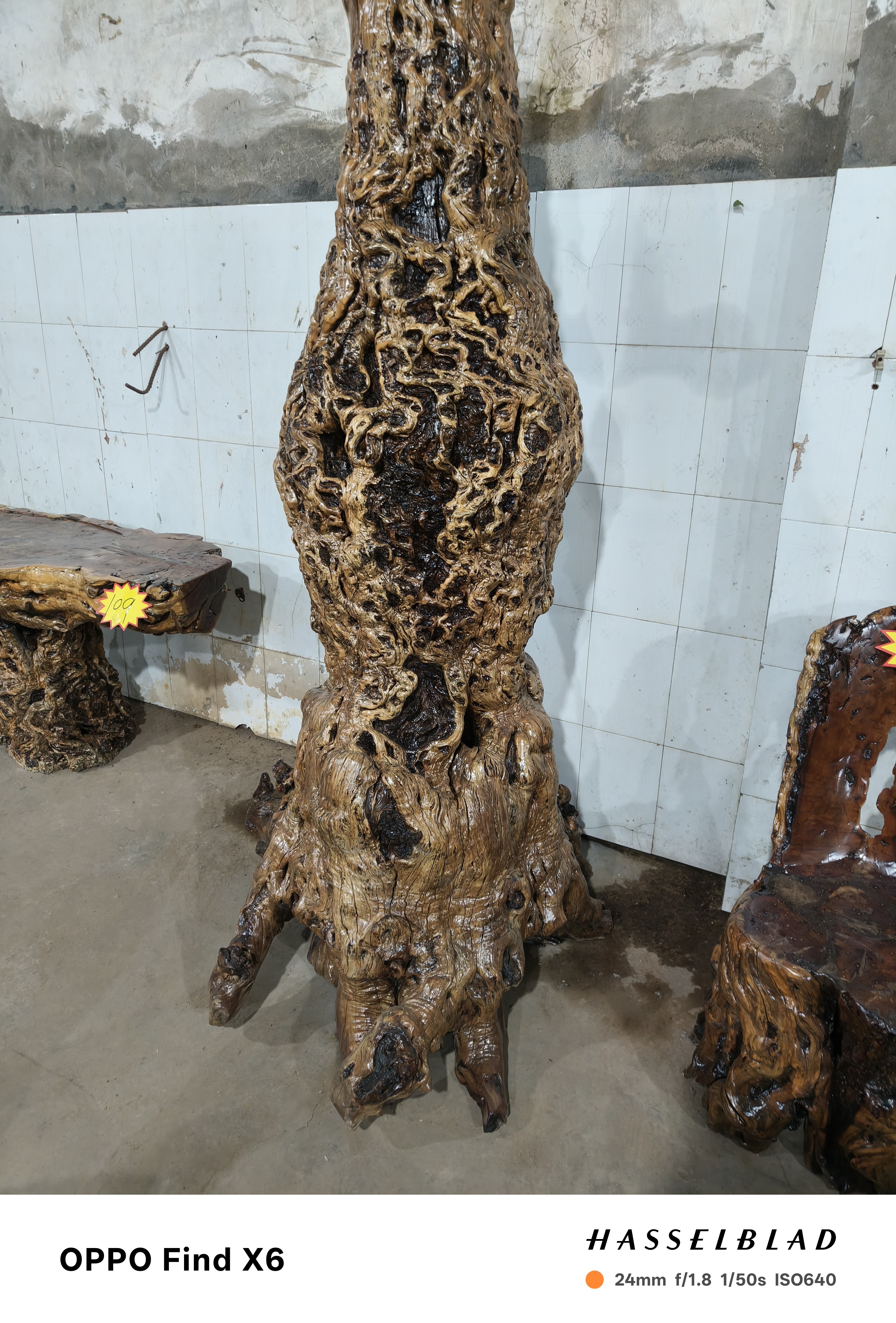 枣木风水柱，自然形成莲花底座，