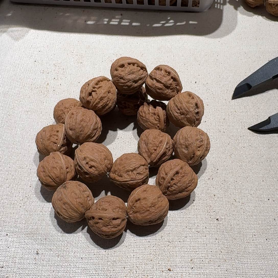 核桃手串/手链39号边24肚24高23