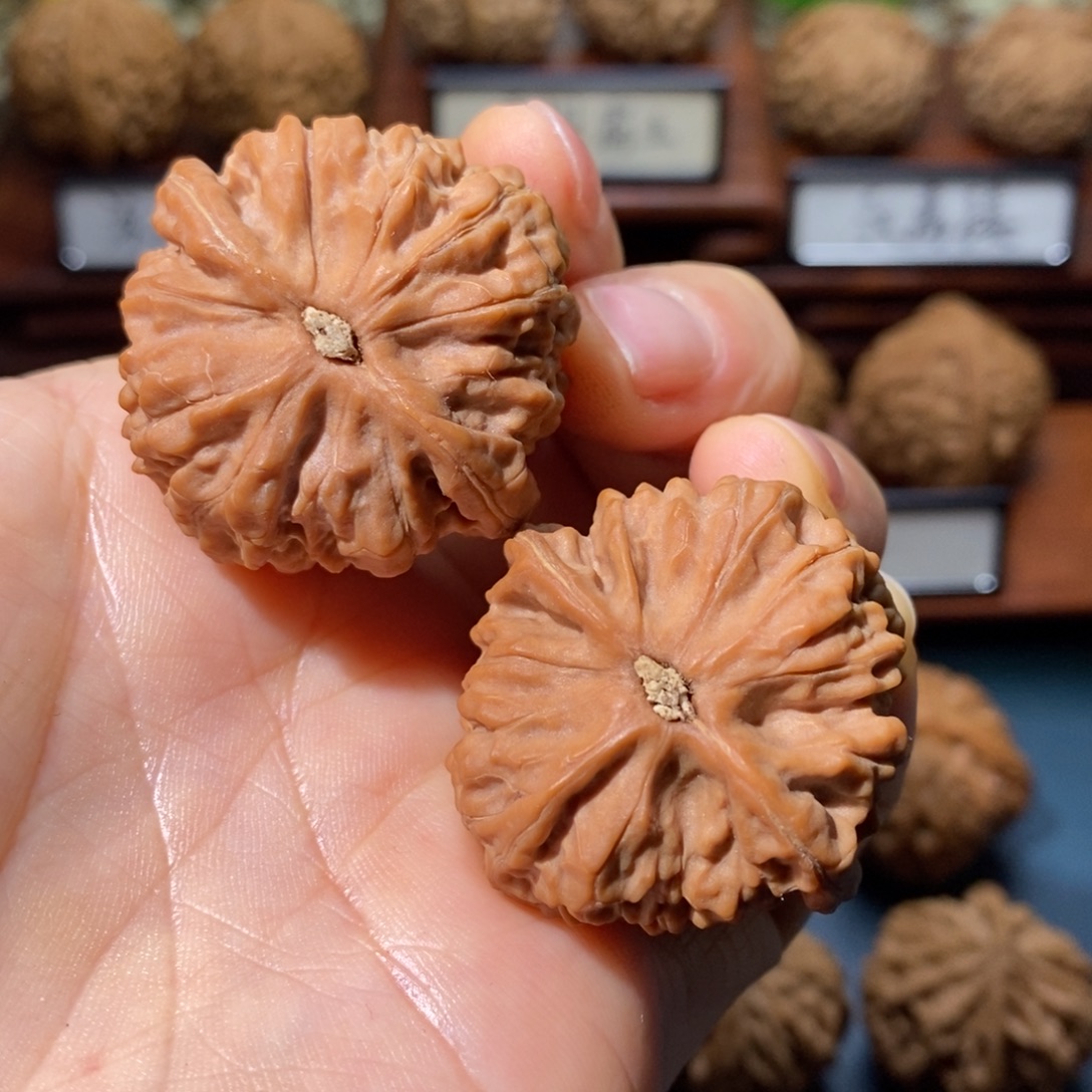 文玩核桃吊坠野生血莲子全品36