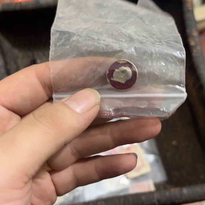 田****杂色豆（科檀/科特迪瓦檀木）