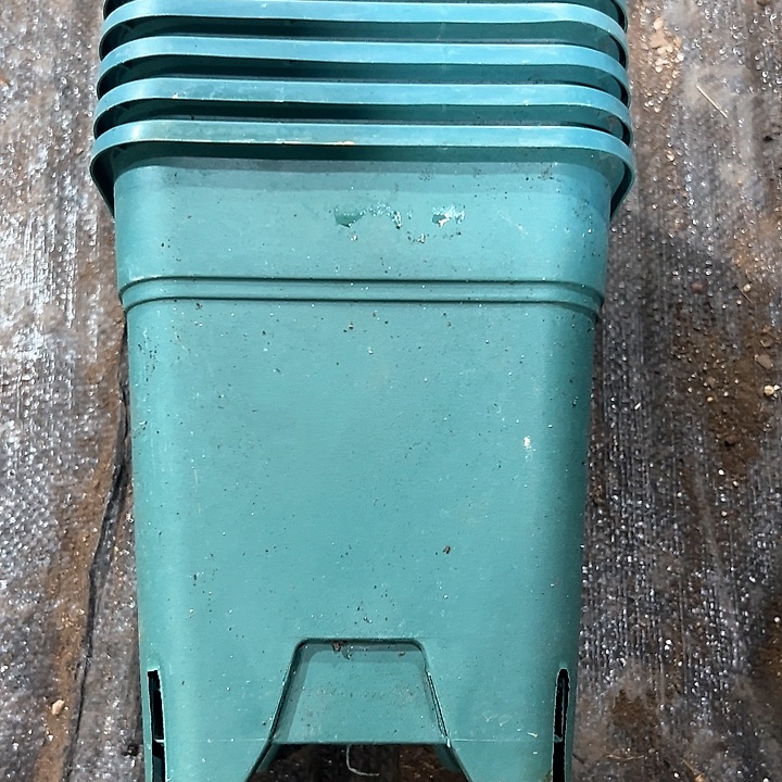 塑料口径17.5高度20绿方万象一组6个