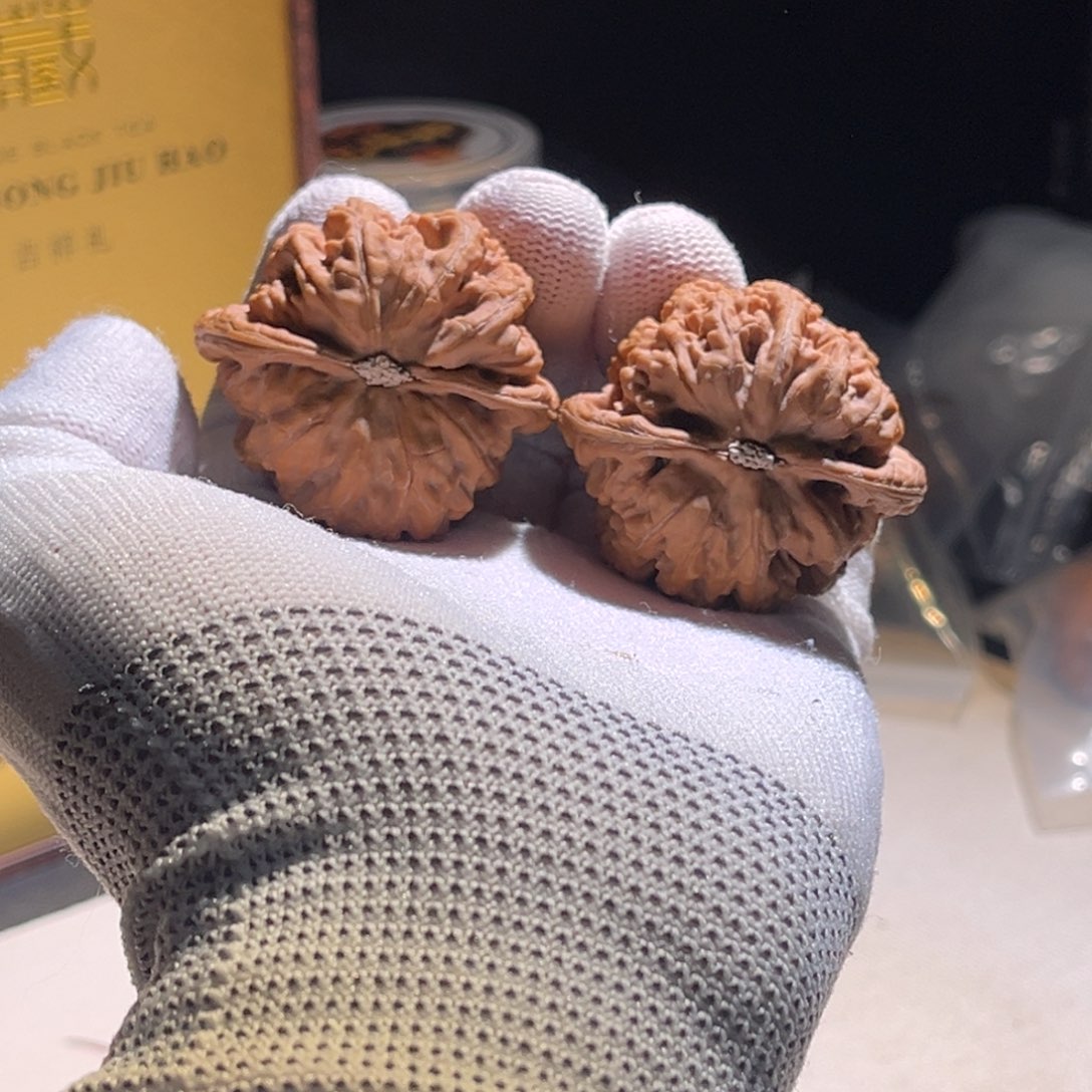 无***C粗筋粗筋粗筋粗筋呢