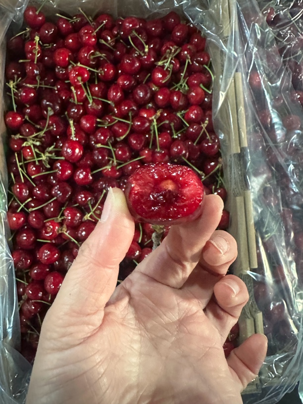 嘎嘣脆小车厘、酸甜可口，超级好吃3斤装