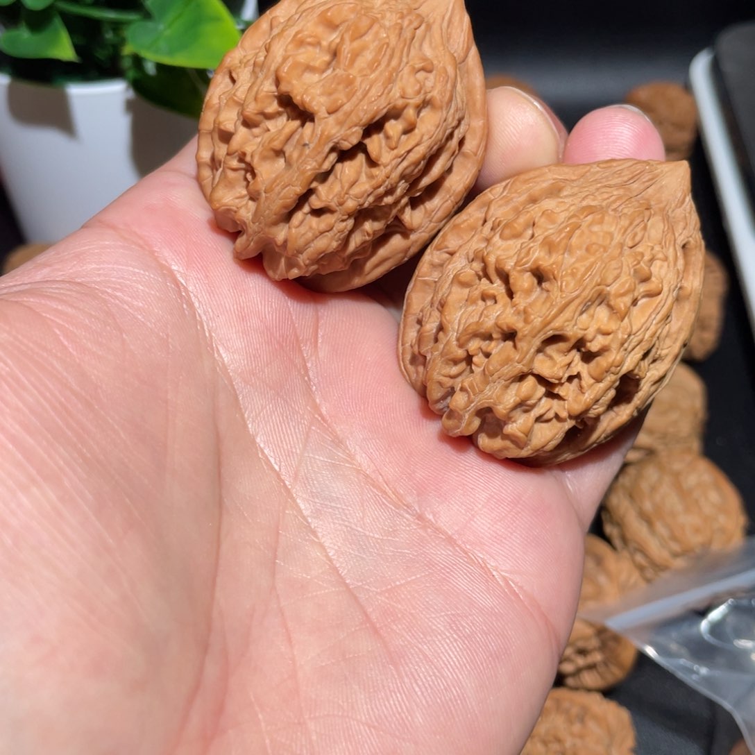 文玩核桃把件40大沽石
