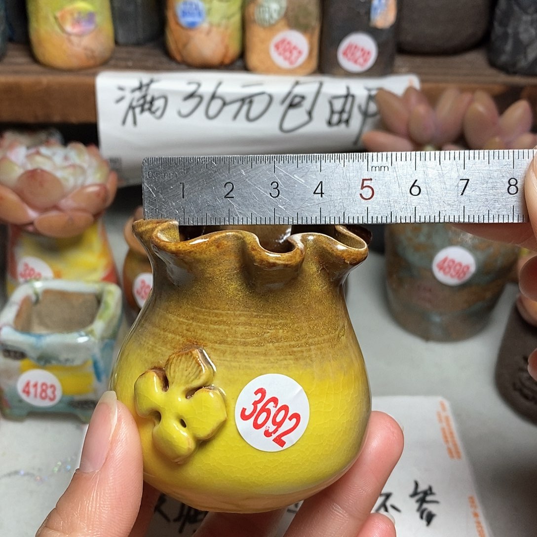 红陶拍5送一个小