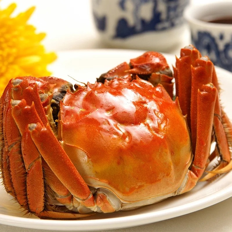 【活蟹】江苏大闸蟹 3两母（2.8-3.2两/只）捆绑 6-10只装 顺丰包邮