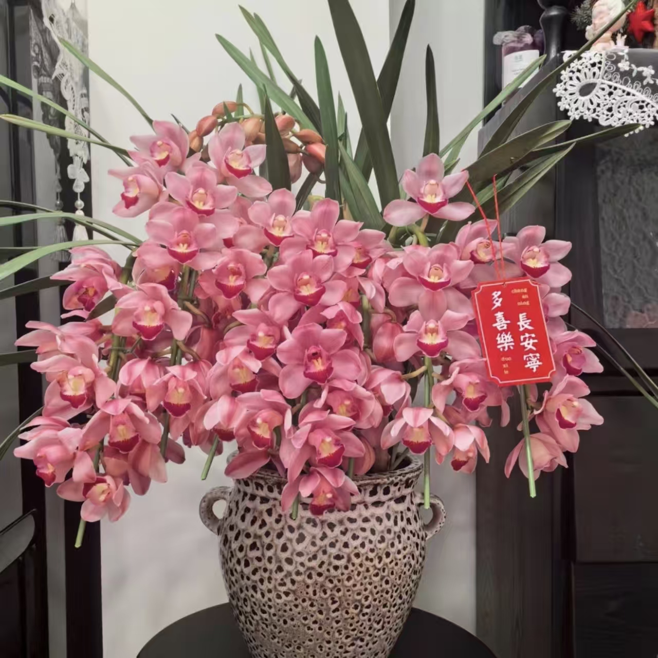【绣球】云南大花蕙兰年宵花  落地款 原盆原土发货