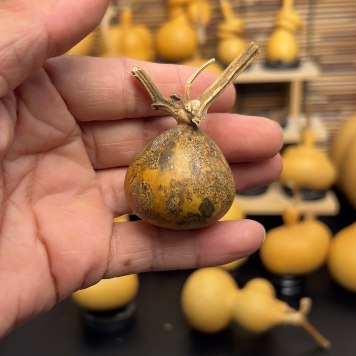 人****^15555898999999999