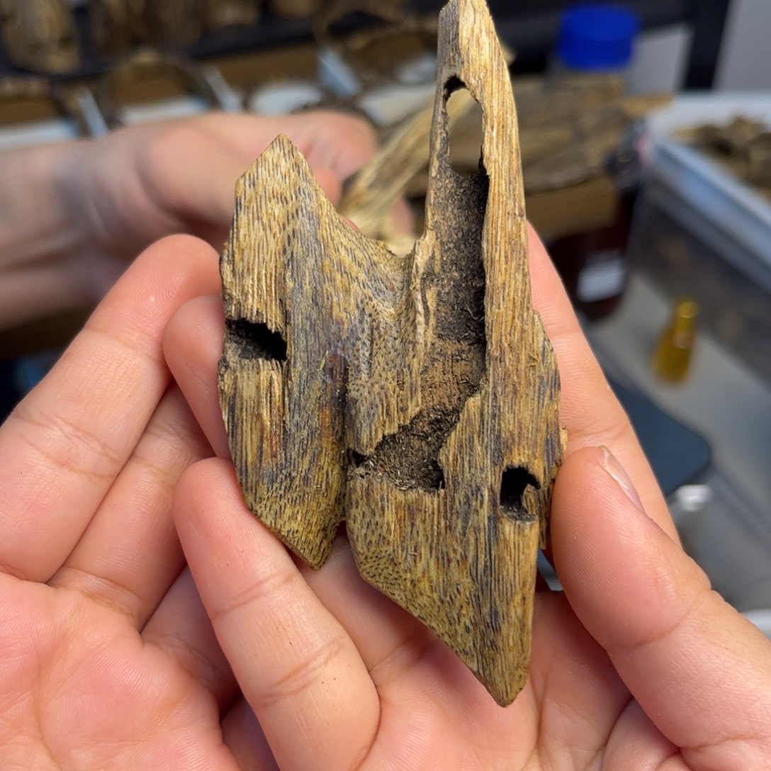 沉香沉香碎屑奇楠沉香熏香白棋虫漏12克