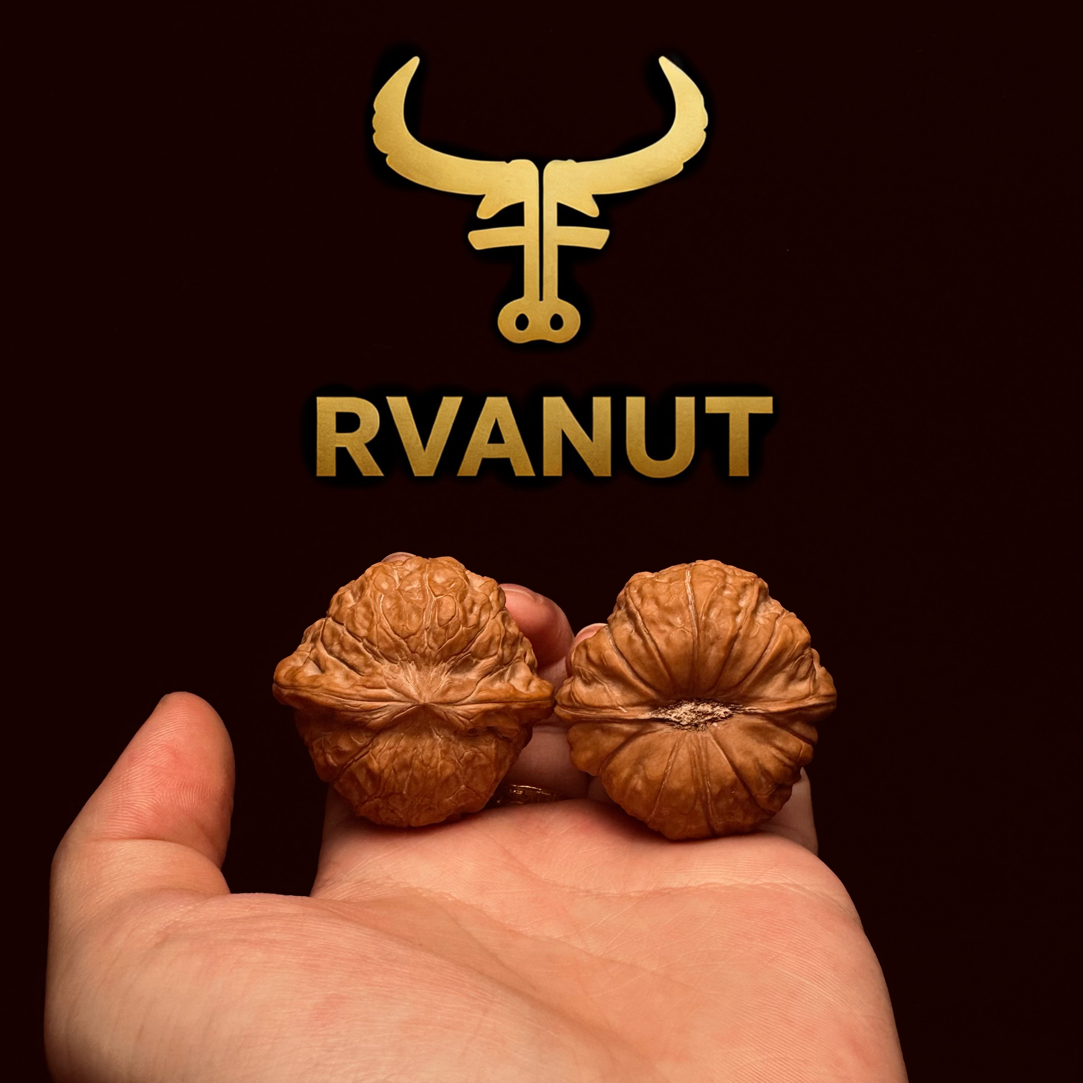 RVANUT核桃（直播间一物一图专属链接）