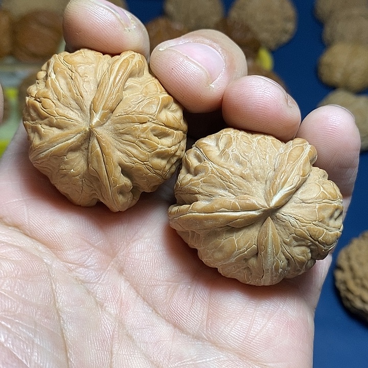 文玩核桃把件1号，39尺元宝异型