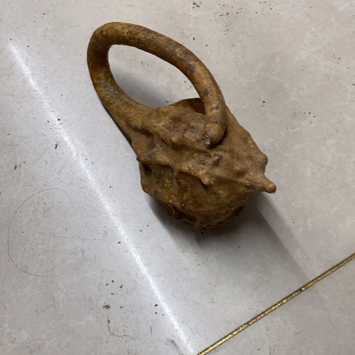 乐***中鹤首异形花皮葫芦葫芦