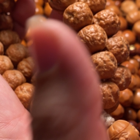 【闪购商品】猴头核桃手串望*星产品