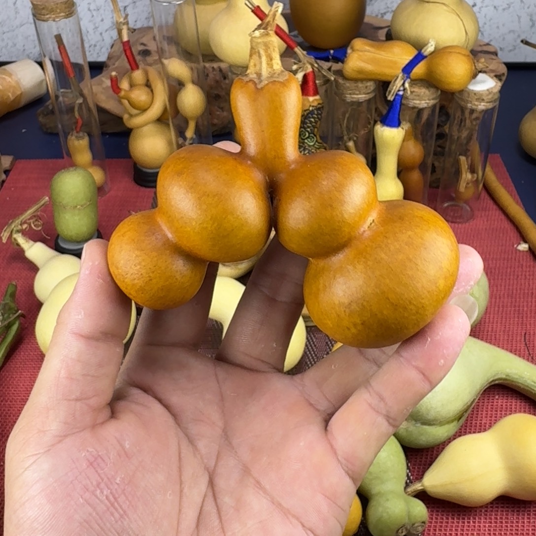 o***i大叶紫檀（黑酸枝木类）