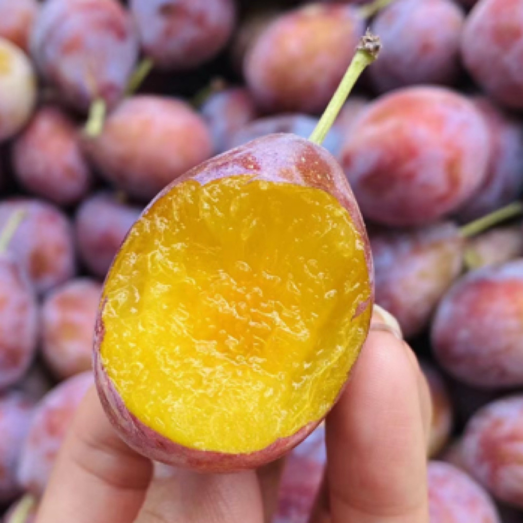 【坏果包赔】进口西梅（约1斤）