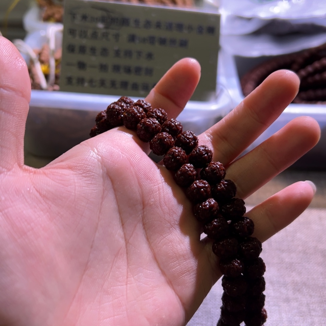 吊坠金刚菩提老树梅花10.6mm