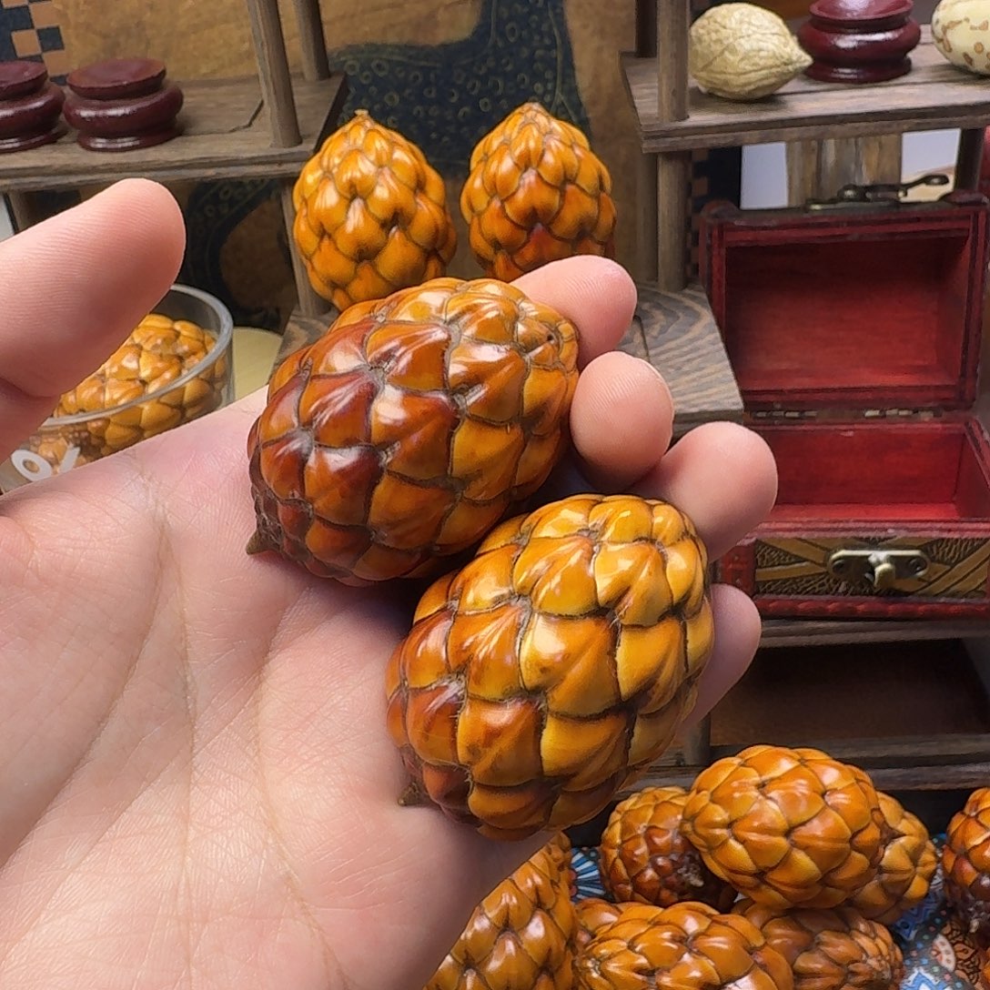 天***号木粉酒椰一对果王