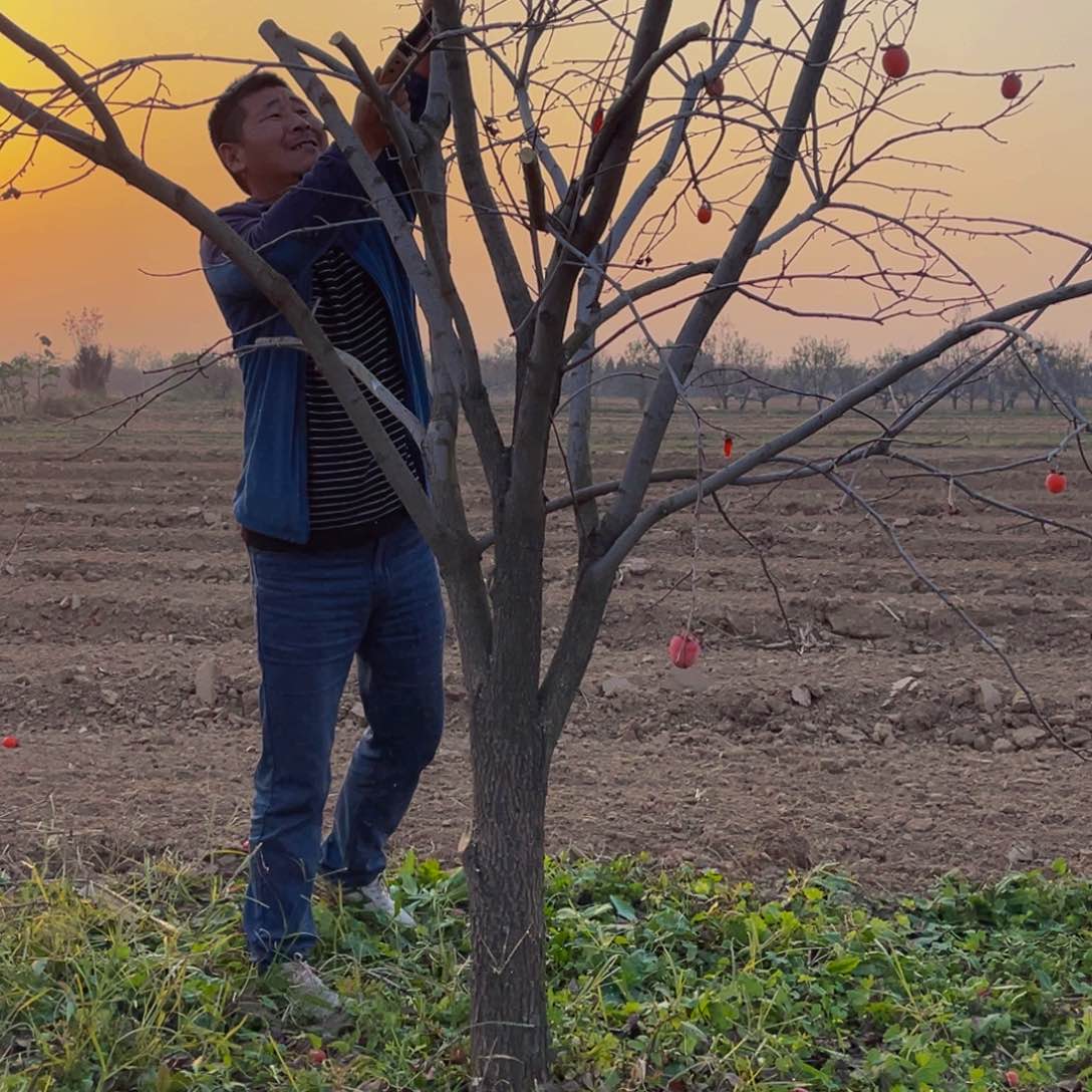 完全开放一物一拍