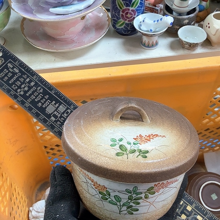 壶开播啦….开播啦