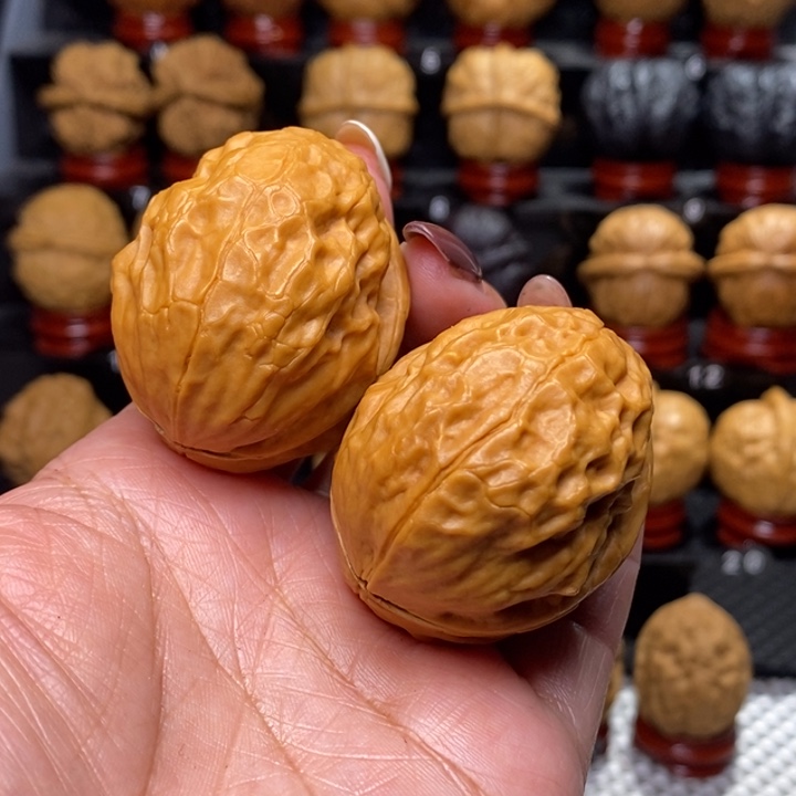 文玩核桃把件玄武金蝉…………999