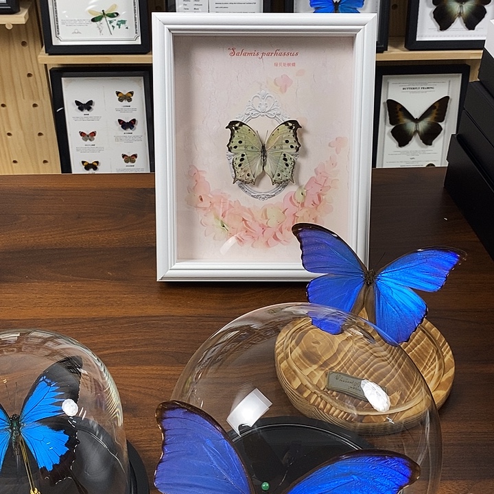 清***་石英石铁合金清醒老师专属玻璃罩